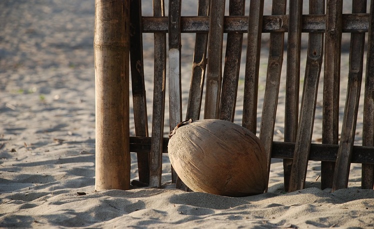 picture_7